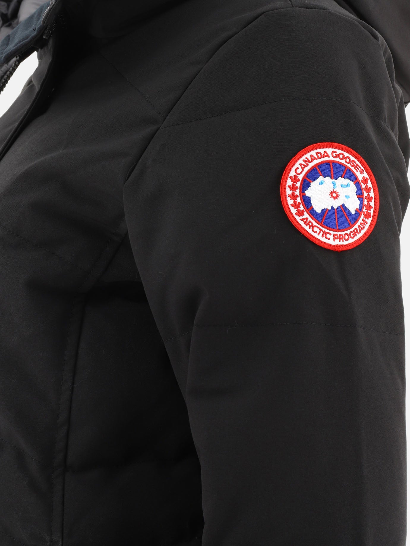 Parkas 84% polyester 16% cotton - Padding: down and feathers  Black - Canada Goose Women | PDP | VIETTI Online Store | Zoom-Modal_4
