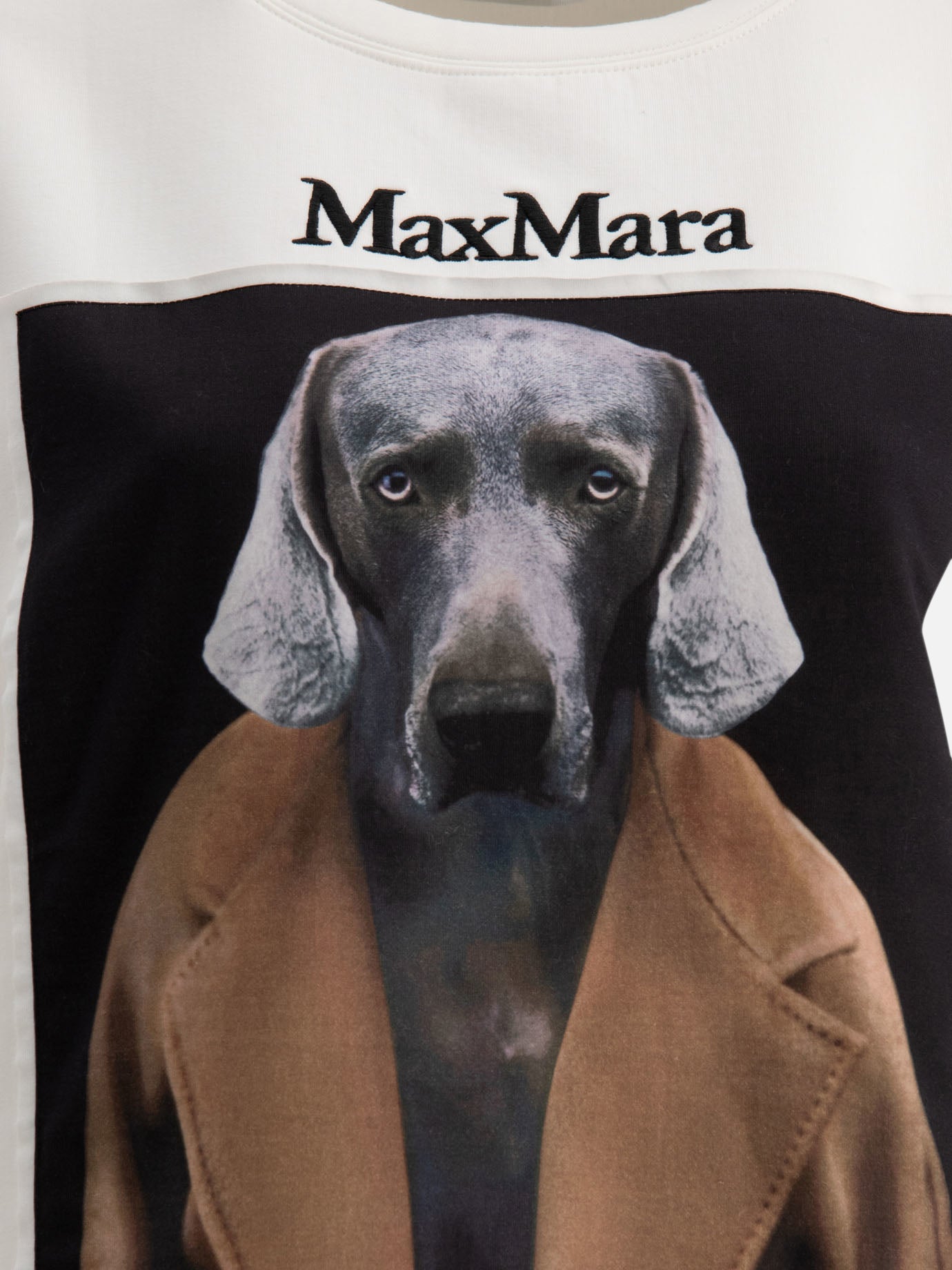 Max Mara Sweatshirt with Wegman-print White