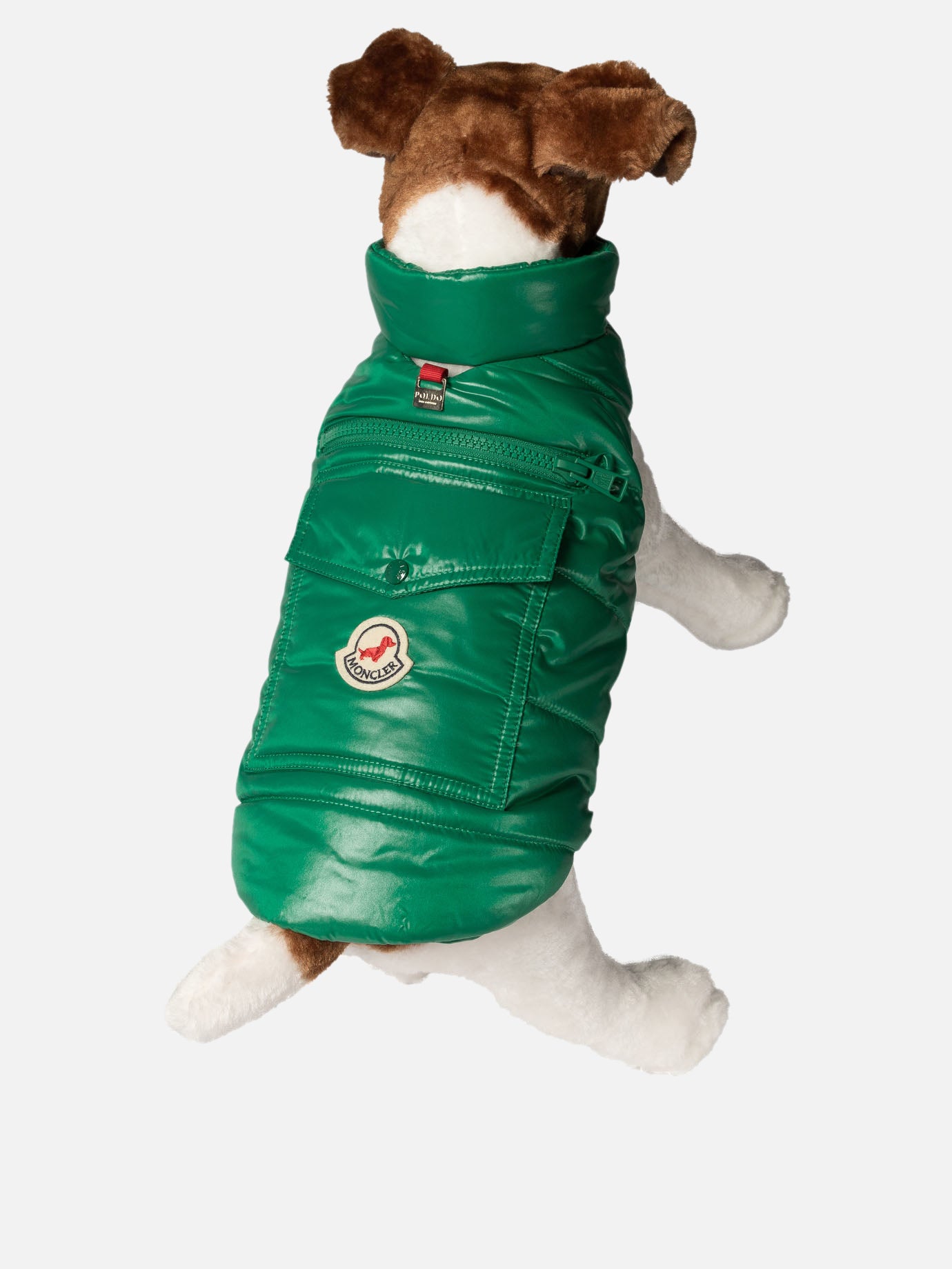 Dog vest