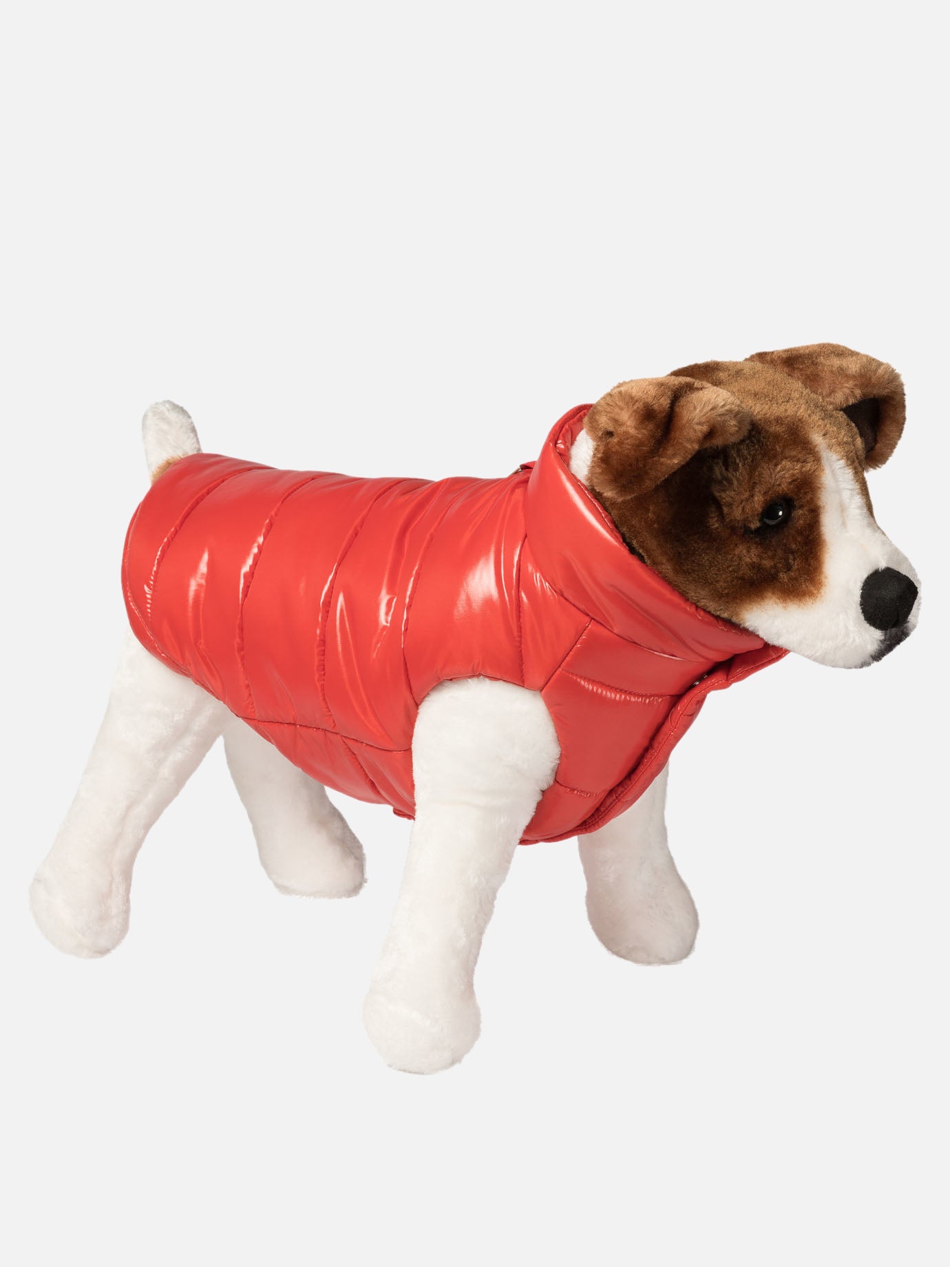 Dog vest