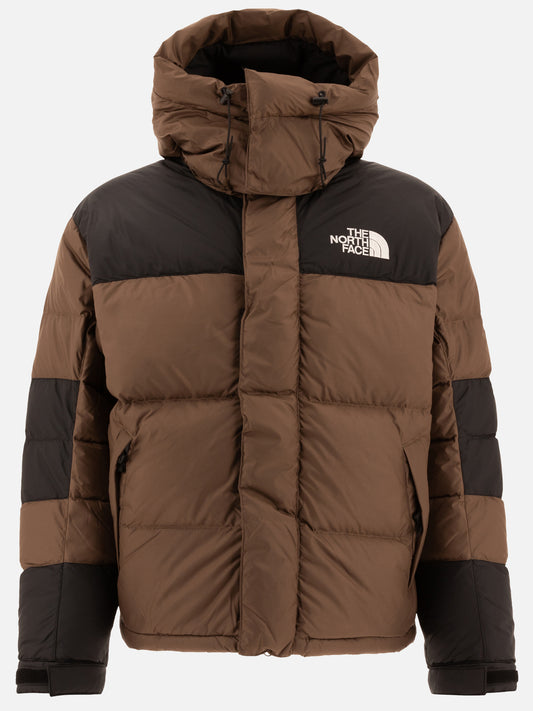 Down jackets Solid colour  Brown - The North Face Men | PLP | VIETTI Online Store 
