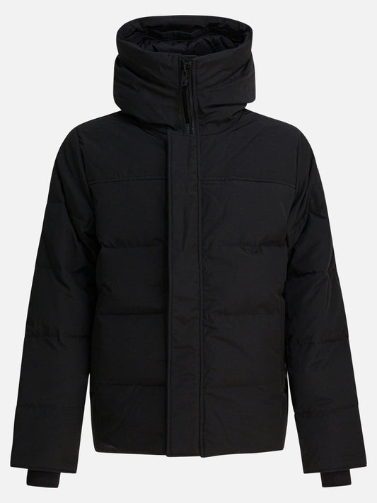 Parkas Solid colour  Black - Canada Goose Men | PLP | VIETTI Online Store 
