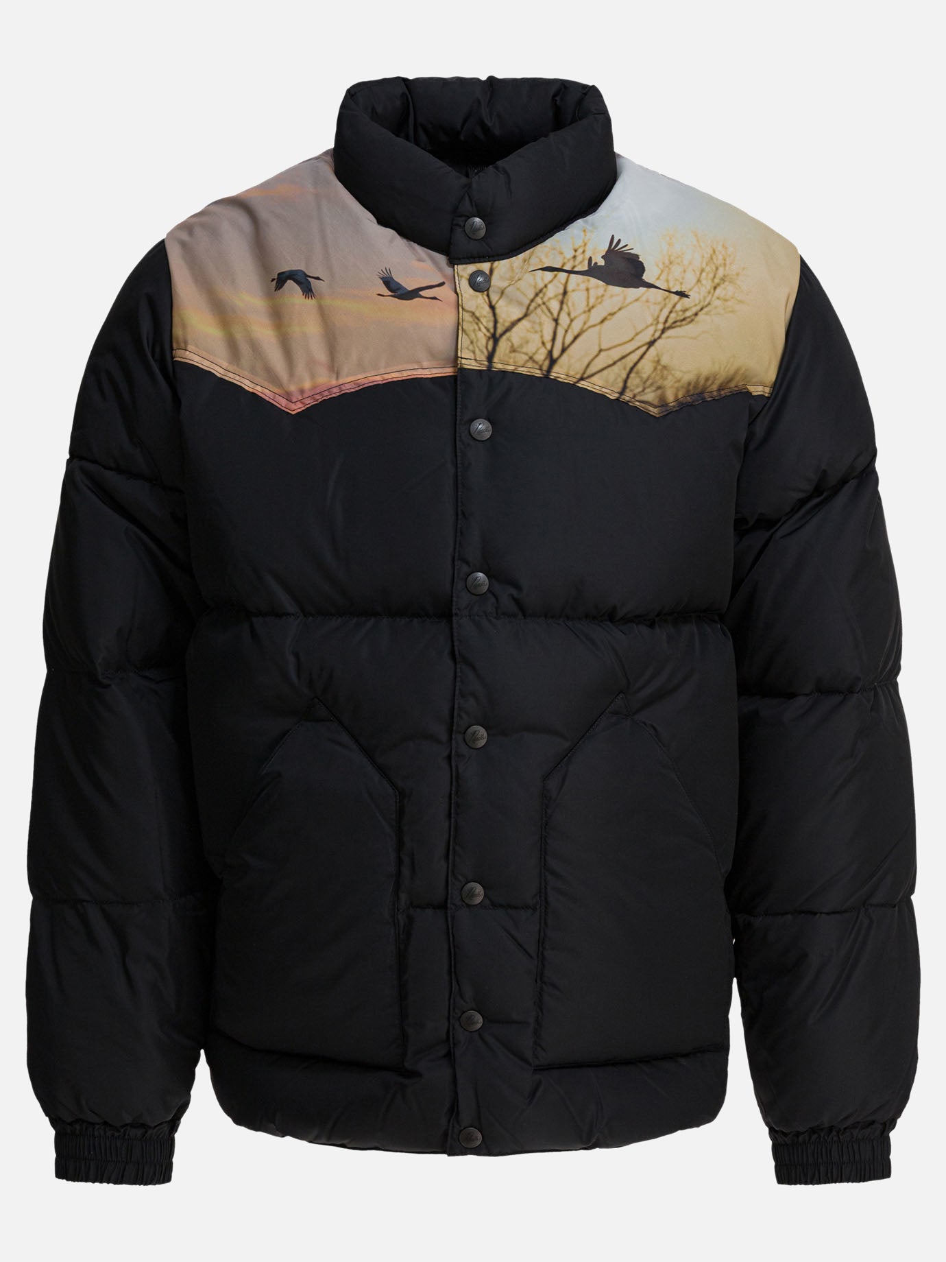 Down jackets Graphics  Black - Needles Men | PDP | VIETTI Online Store | thumbnail